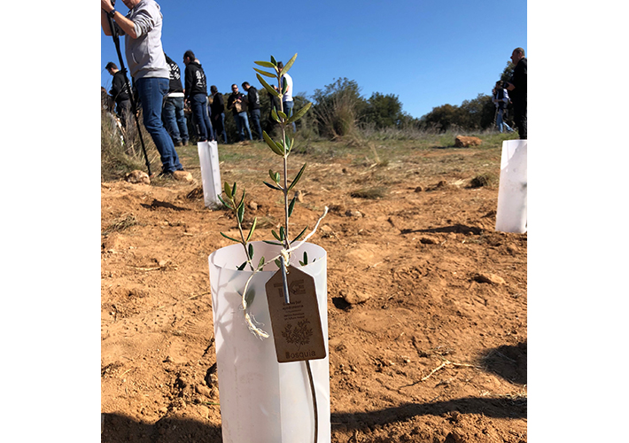 foto noticia TK Elevator lanza su campaña Compromiso 1:1 para plantar 1.200 árboles